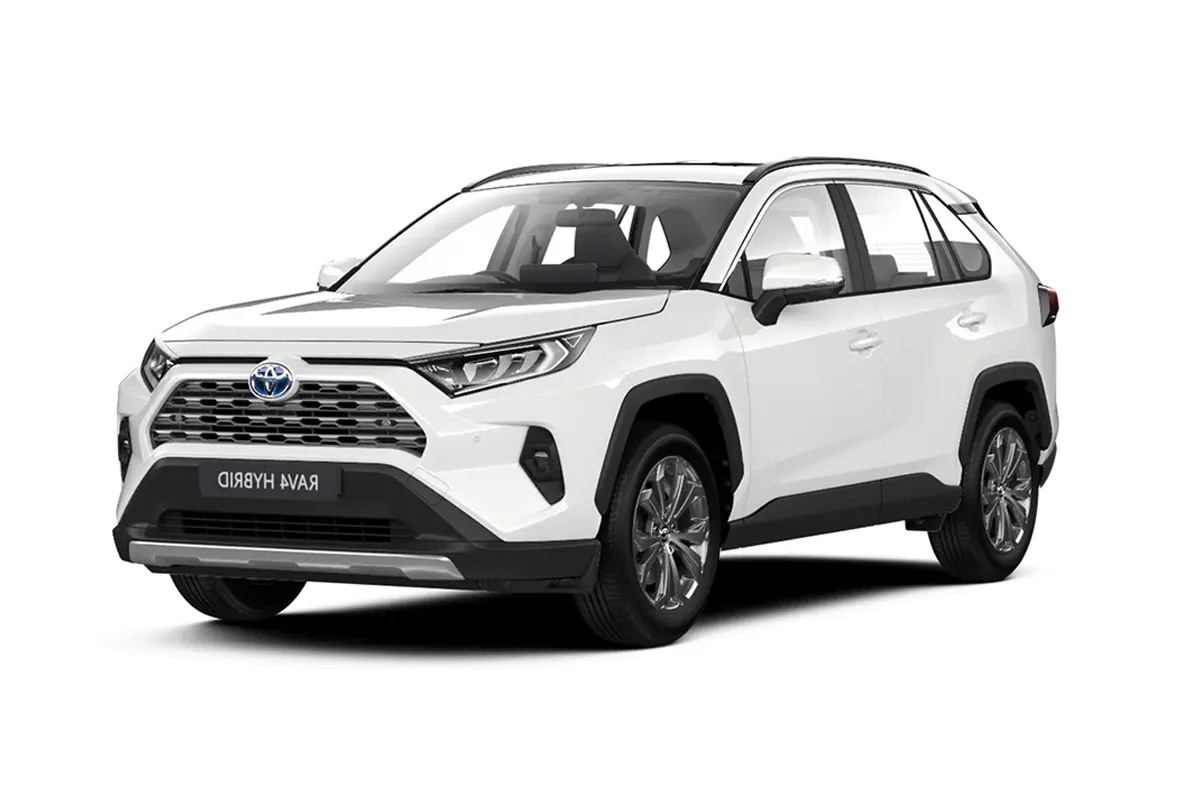 Toyota Rav4 a Torino